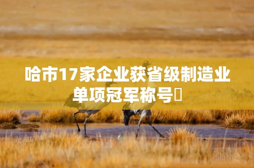 哈市17家企业获省级制造业单项冠军称号​