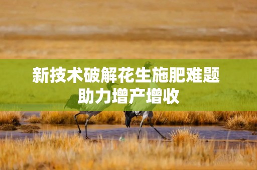 新技术破解花生施肥难题 助力增产增收