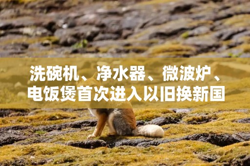 洗碗机、净水器、微波炉、电饭煲首次进入以旧换新国补范围