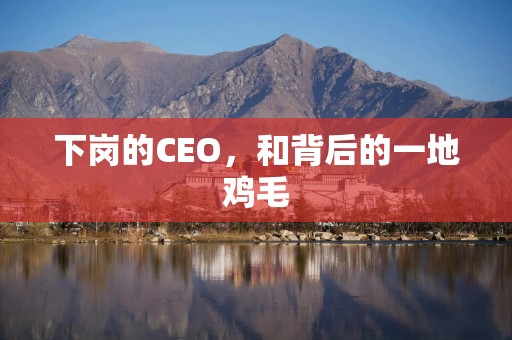 下岗的CEO，和背后的一地鸡毛