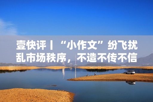 壹快评丨“小作文”纷飞扰乱市场秩序，不造不传不信共建清朗信息环境