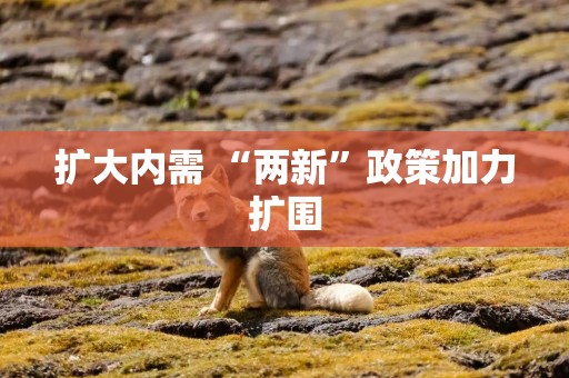 扩大内需 “两新”政策加力扩围