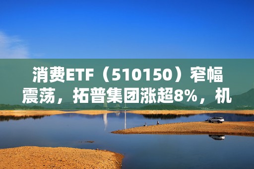 消费ETF（510150）窄幅震荡，拓普集团涨超8%，机构：刺激消费是2025年内需政策的核心关键