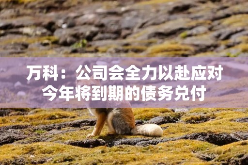 万科：公司会全力以赴应对今年将到期的债务兑付
