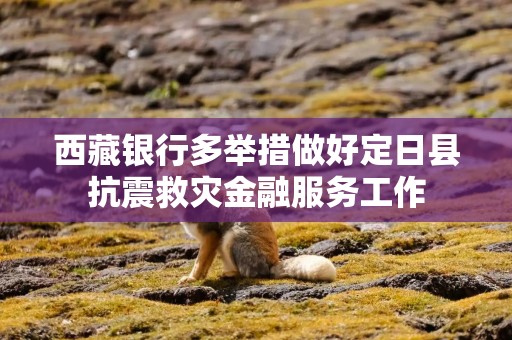 西藏银行多举措做好定日县抗震救灾金融服务工作