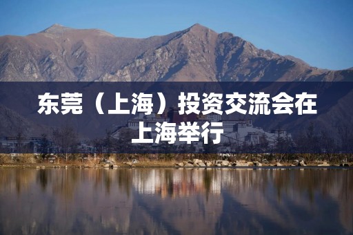 东莞（上海）投资交流会在上海举行