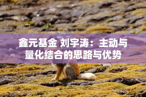 鑫元基金 刘宇涛：主动与量化结合的思路与优势