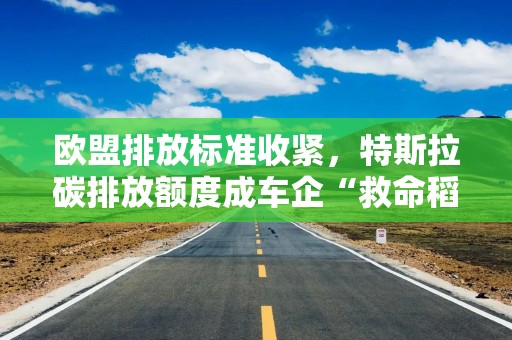 欧盟排放标准收紧，特斯拉碳排放额度成车企“救命稻草”