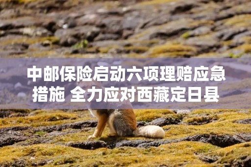 中邮保险启动六项理赔应急措施 全力应对西藏定日县地震灾害