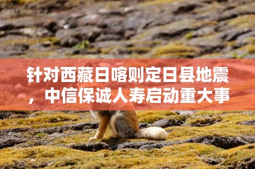 针对西藏日喀则定日县地震，中信保诚人寿启动重大事件理赔应急预案