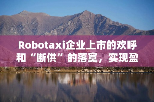 Robotaxi企业上市的欢呼和“断供”的落寞，实现盈亏平衡成共同目标