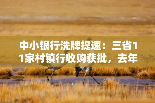 中小银行洗牌提速：三省11家村镇行收购获批，去年超200家银行消失