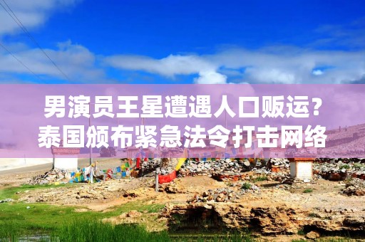 男演员王星遭遇人口贩运？泰国颁布紧急法令打击网络诈骗，本月内生效