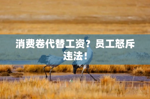消费卷代替工资？员工怒斥违法！