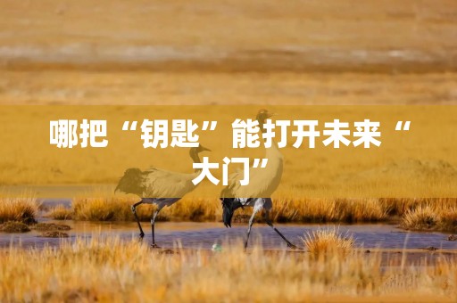哪把“钥匙”能打开未来“大门”