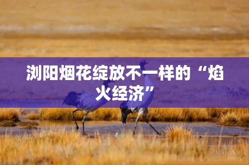 浏阳烟花绽放不一样的“焰火经济”