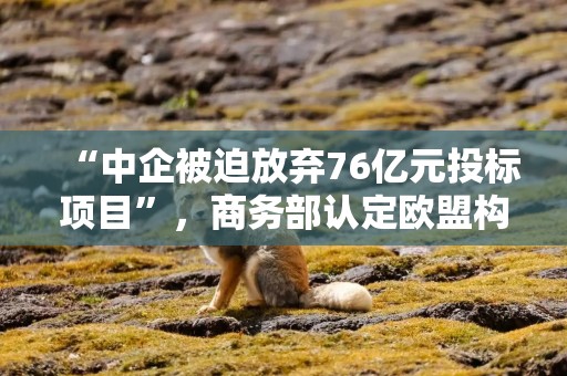 “中企被迫放弃76亿元投标项目”，商务部认定欧盟构成贸易投资壁垒