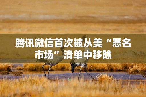 腾讯微信首次被从美“恶名市场”清单中移除