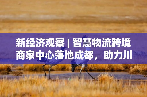 新经济观察 | 智慧物流跨境商家中心落地成都，助力川货“跨”出新机遇