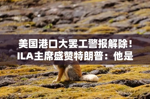 美国港口大罢工警报解除！ILA主席盛赞特朗普：他是我们的英雄！