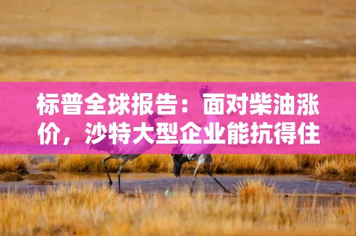 标普全球报告：面对柴油涨价，沙特大型企业能抗得住