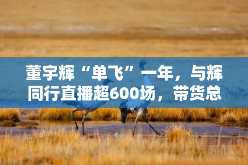 董宇辉“单飞”一年，与辉同行直播超600场，带货总销售额超93亿元