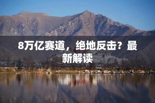 8万亿赛道，绝地反击？最新解读
