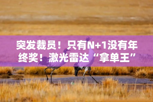 突发裁员！只有N+1没有年终奖！激光雷达“拿单王”禾赛科技怎么了