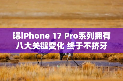 曝iPhone 17 Pro系列拥有八大关键变化 终于不挤牙膏了
