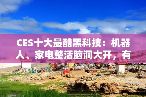 CES十大最酷黑科技：机器人、家电整活脑洞大开，有亿点点抽象