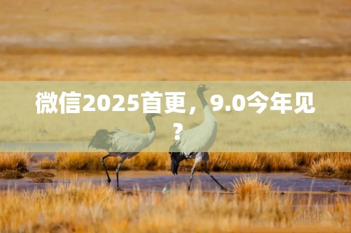 微信2025首更，9.0今年见？