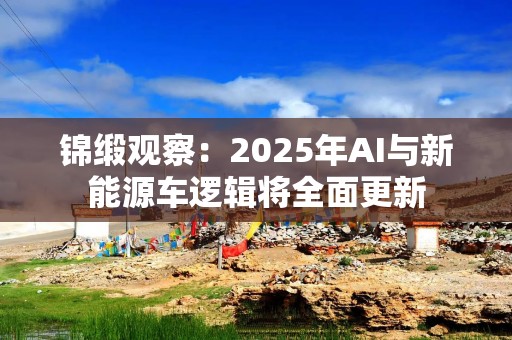 锦缎观察：2025年AI与新能源车逻辑将全面更新