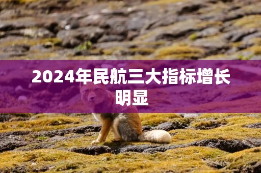 2024年民航三大指标增长明显