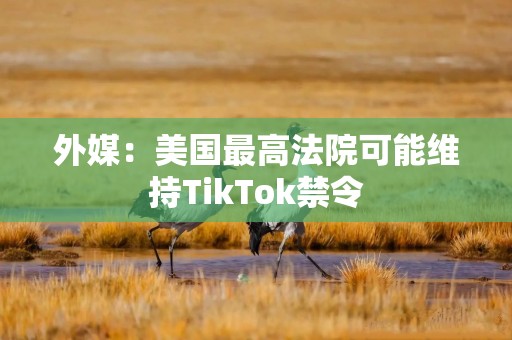 外媒：美国最高法院可能维持TikTok禁令