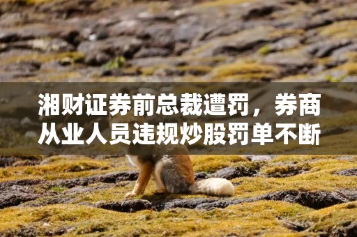 湘财证券前总裁遭罚，券商从业人员违规炒股罚单不断