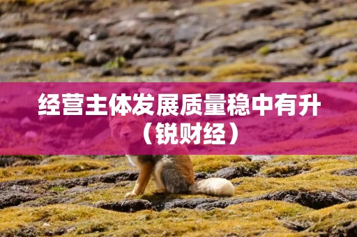 经营主体发展质量稳中有升（锐财经）