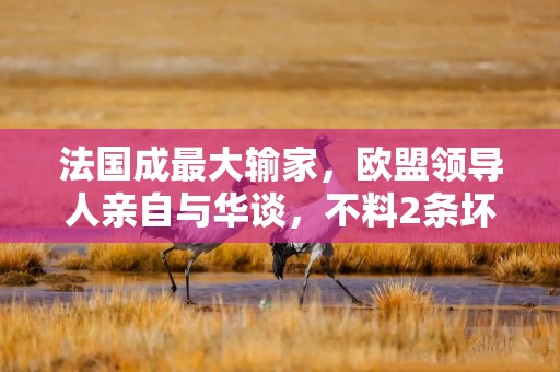 法国成最大输家，欧盟领导人亲自与华谈，不料2条坏消息接踵而至