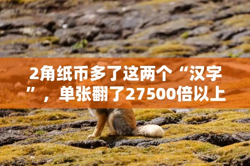 2角纸币多了这两个“汉字”，单张翻了27500倍以上，你能找到吗？