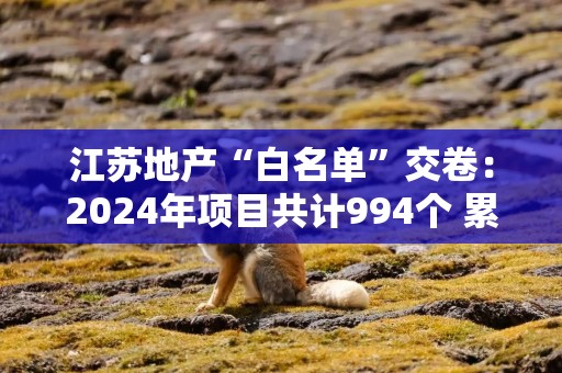 江苏地产“白名单”交卷：2024年项目共计994个 累计放款4127亿