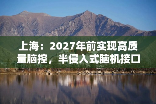 上海：2027年前实现高质量脑控，半侵入式脑机接口产品在国内率先实现临床应用，侵入式脑机接口研发取得突破