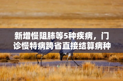 新增慢阻肺等5种疾病，门诊慢特病跨省直接结算病种扩面