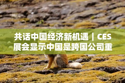 共话中国经济新机遇｜CES展会显示中国是跨国公司重要合作伙伴和机遇