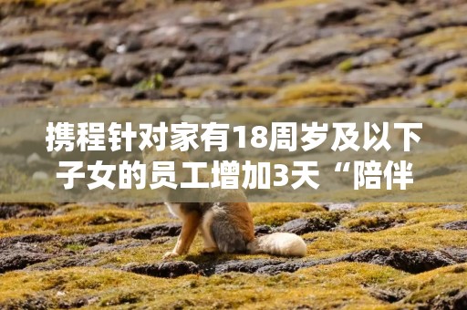 携程针对家有18周岁及以下子女的员工增加3天“陪伴日”