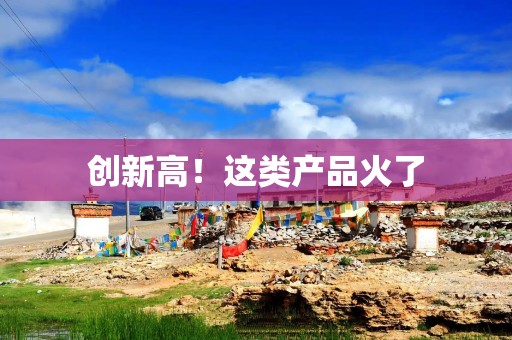 创新高！这类产品火了