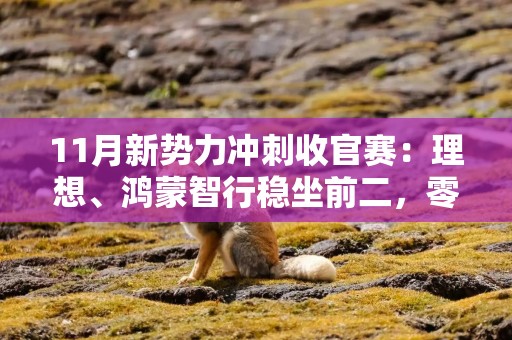 11月新势力冲刺收官赛：理想、鸿蒙智行稳坐前二，零跑单月交付首超4万辆