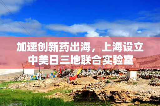 加速创新药出海，上海设立中美日三地联合实验室