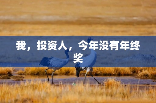 我，投资人，今年没有年终奖