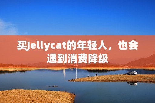 买Jellycat的年轻人，也会遇到消费降级