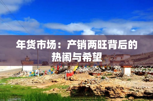 年货市场：产销两旺背后的热闹与希望