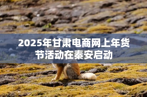 2025年甘肃电商网上年货节活动在秦安启动